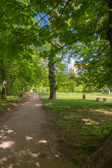 Path through the park with a bench.