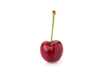 Cherry isolated on white, typical fruit of Vignola, Modena, Italy. Copy space