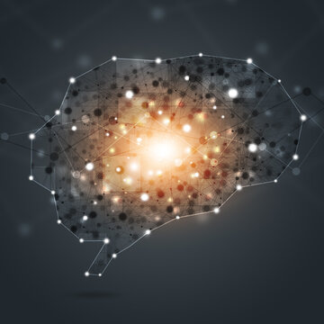 human brain shape