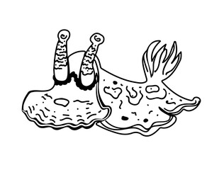 Fried-Egg, deep sea creature resembling a cute little dog. Line style element.