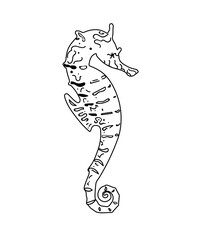 Vector lines seahorse. Outline sea animal element  for use in packaging design, web and mobile applications.