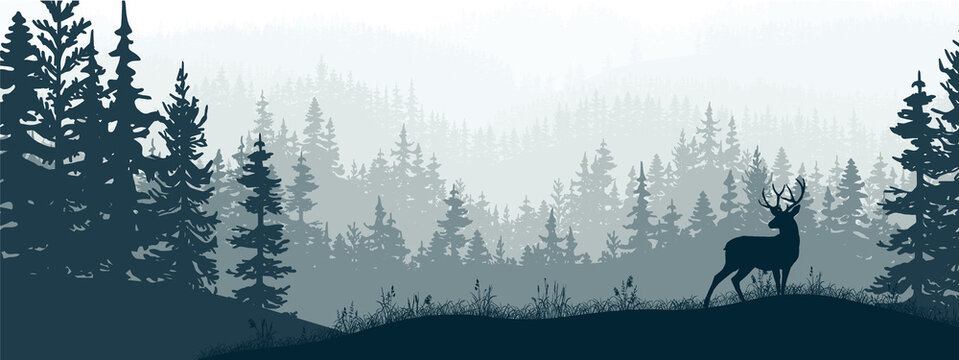 Horizontal banner. Silhouette of deer standing on meadow in forrest. Silhouette of animal, trees, grass. Magical misty landscape, fog. Blue and gray illustration. Bookmark.