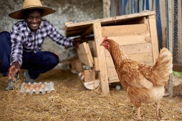 Smiling black farmer with fresh eggs in box against chicken
