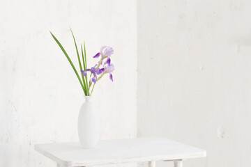 iris in white vase on white background