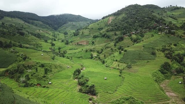 Asian rice field terrace on mountain side, lush agriculture land. Rice is the staple food of Asia