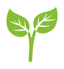 green leaves icon