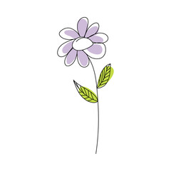 Doodle Sketch Flower