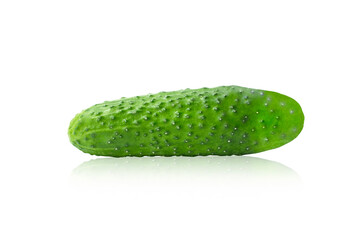 One green cucumber isolated on white background with reflection