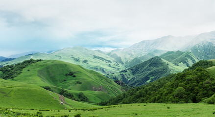 Green hills and forest with low grey clouds. Elbrus panoramic landscape