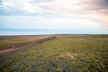 Fototapeta premium road in field