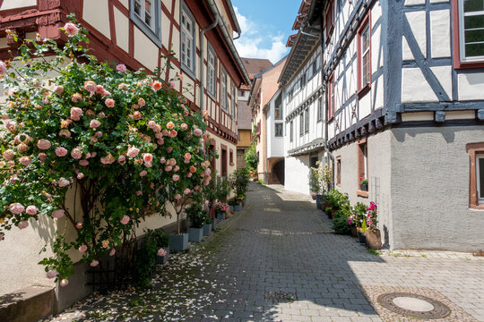 Altstadt in Weinheim 