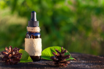 Obraz premium A bottle with herbal extract in the foreground. Blurry natural background. Natural medicine