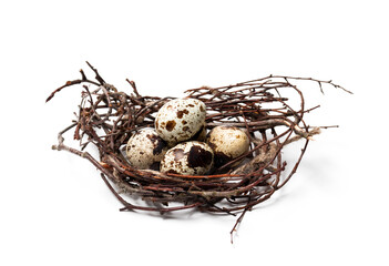 Obraz premium The quail eggs in the nest close up on a white background. isolate. The concept of eating healthy foods for daily nutrition and diet