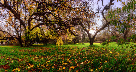 Naklejka premium Panorama Parque