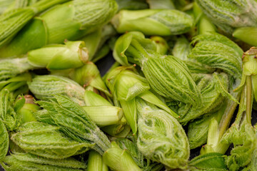 Harvested Mountain Vegetable, Young Leaves of Koshiabura