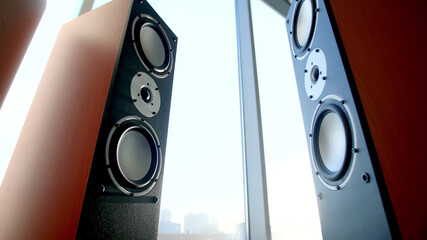 Large black and wooden speaker with sub-woofer on backgroung of city 