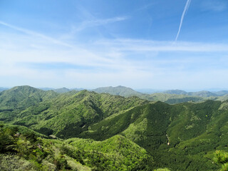 春～初夏の山　新緑　風景
