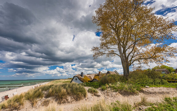 Reetgedecktes Haus (Kotten) in den D&uuml;nen bei Ahrenshoop auf dem Dar&szlig;; Deuschland