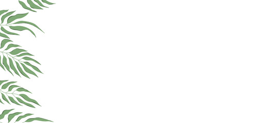 Floral web banner with drawn color exotic leaves. Nature concept design. Modern floral compositions with summer branches. Vector illustration on the theme of ecology, natura, environment