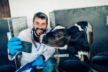 Happy young veterinarian taking selfie photo with cow while working at the farm.