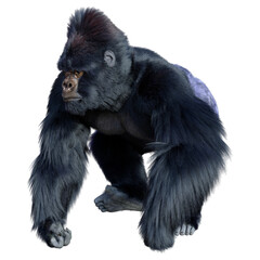 Naklejka premium 3D Rendering Black Gorilla Ape on White