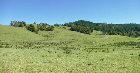 Around Wairere in New Zealand