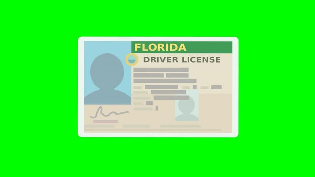 A hand presents a Florida driver's license on a green background (flat design)	