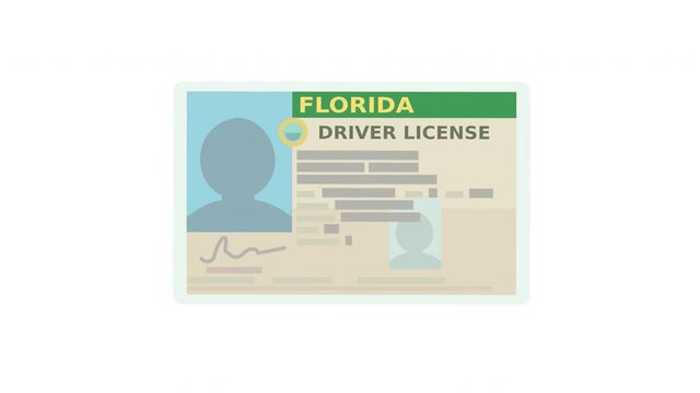 A hand presents a Florida driver's license on a white background (flat design)	