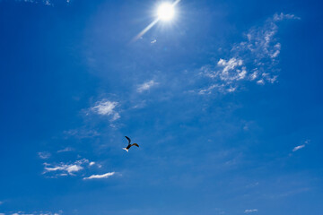 Silhouette of a helicopter against a blue sky with clouds