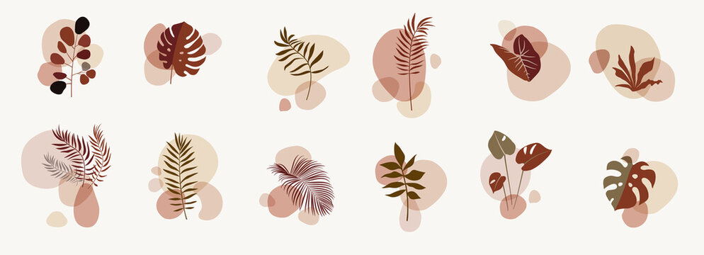 Vector abstract botanical compositions. Story highlights template. Earthy colors natural organic fluid shapes. Social media bohemian jungle exotic leaves design. Boho style foliage. Twigs illustration