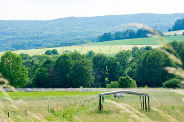 landscape in the mountains