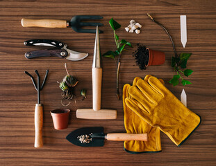 Composition of gardening tools and plants