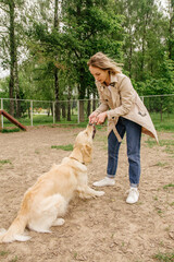 The girl the owner of the dog breed golden retriever plays with her on the playground for walking the dogs