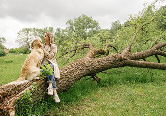 The mistress girl sits and cuddles with her dog of the Golden Retriever breed on a broken trunk from a willow tree