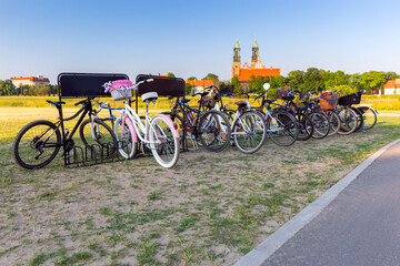 Obraz premium Poznan. Cathedral on Tumskiy Island on a sunny summer evening.