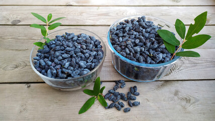 Honeysuckle in a glass dish. Harvesting berries for further processing. Berries with leaves top view. The first spring healthy berries with vitamins. Selective focus. 