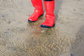 The Wadden Sea National Park near the Peninsula Nordstrand in Germany, Europe