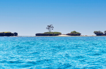 Wasini Island and Kisite-Mpunguti Marine National Park, Kenta, Africa