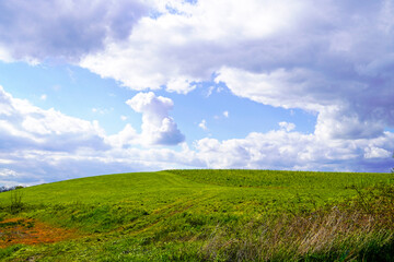 Landscape with green fields near Ahlen, Dolberg. Nature with green meadow and blue sky with white clouds.