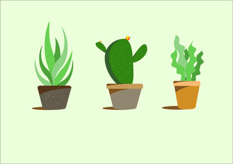 Obraz premium Vector set houseplant cactus and succulent in pot, realistic tree front view.