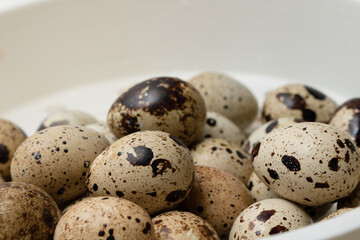 Obraz premium quail eggs in a plate. Eco products. Horizontal format