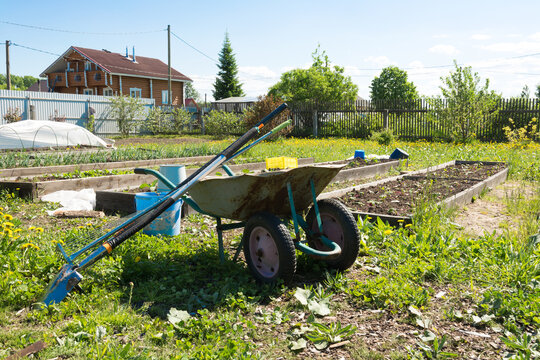 there is a garden wheelbarrow with garden tools next to the vegetable gardens. agriculture concept