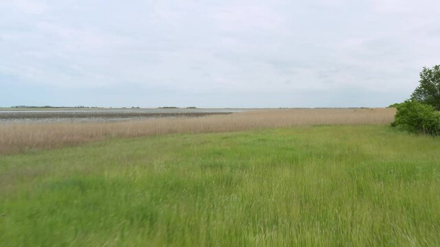 Wetland Of Special Nature Reserve Slano Kopovo In Novi Becej, Serbia. aerial