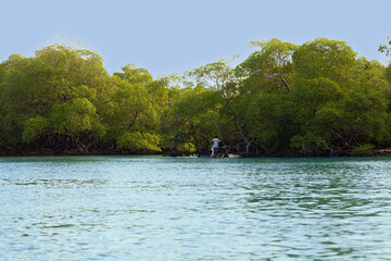 Magia di colori del panorama tropicale. © Yuri