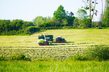 Fototapeta premium Two agricultural vehicles harvesting hay. Collecting hay for silage. Hilly green landscape.