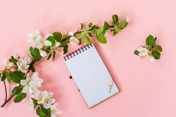 Creative flat lay of blank spiral notepad frame mock up and apple tree flowers petals on pastel pink background with copy space in minimal style, template for lettering, text or your design