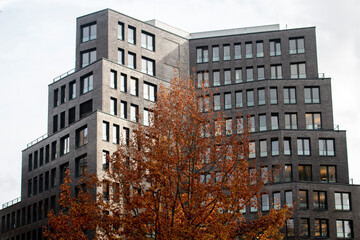 Hamburgo , Alemania / Hamburg, Germany