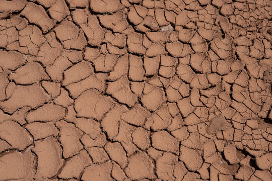 Сracked soil of dry earth.