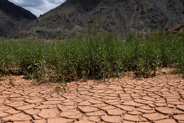 Сracked soil of dry earth.