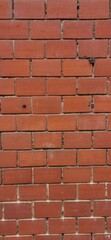 Steinmauer